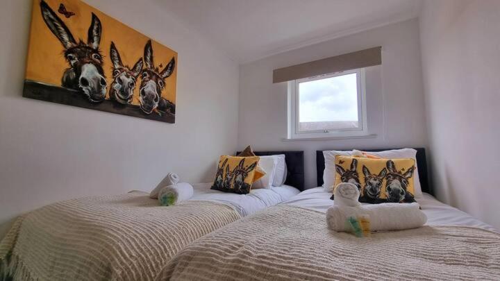 No 62 Fivedom - Charming & Cosy Apartment Southampton Ngoại thất bức ảnh